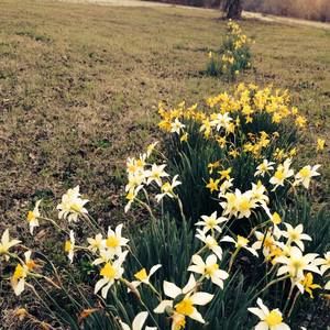 Meet your Posher, Traci